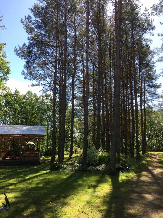 Villa Reinholdi Puhkemaja Jabara Esterno foto