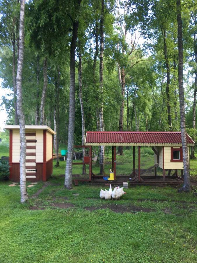 Villa Reinholdi Puhkemaja Jabara Esterno foto