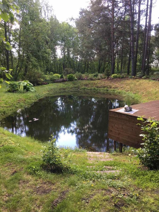 Villa Reinholdi Puhkemaja Jabara Esterno foto